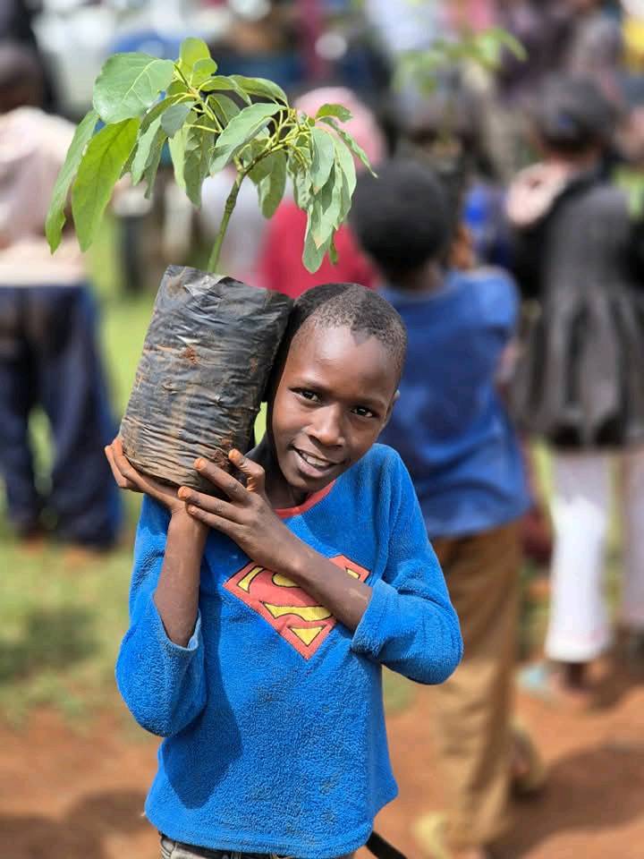 Child carrying a tree seedling at a community planting drive